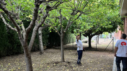 Gallery item