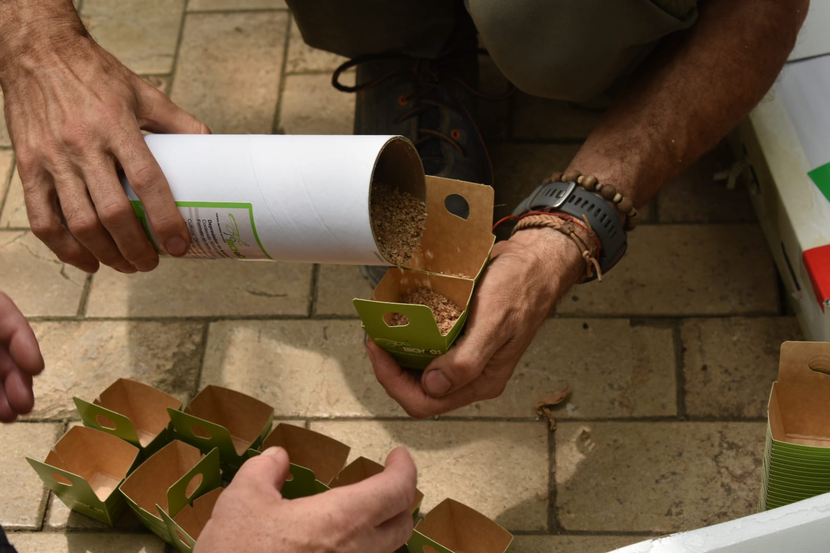 Gestión de la sanidad vegetal (gip) en jardín botánico
