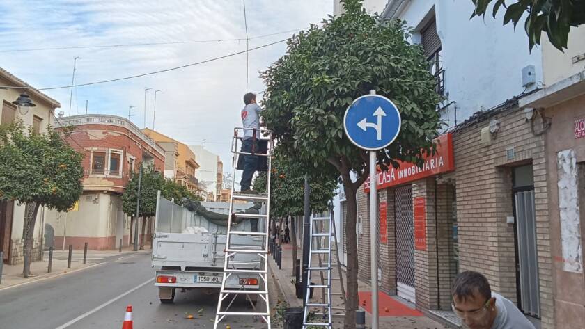 Poda arbolado urbano: Quart de Poblet