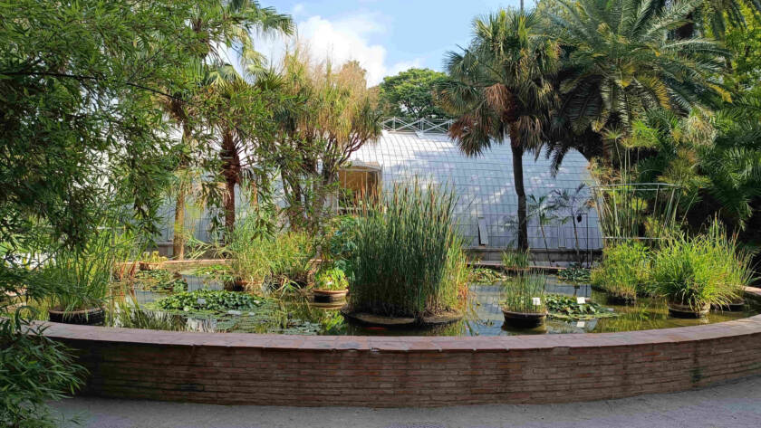 Mantenimiento y limpieza: Jardín Botánico Valencia