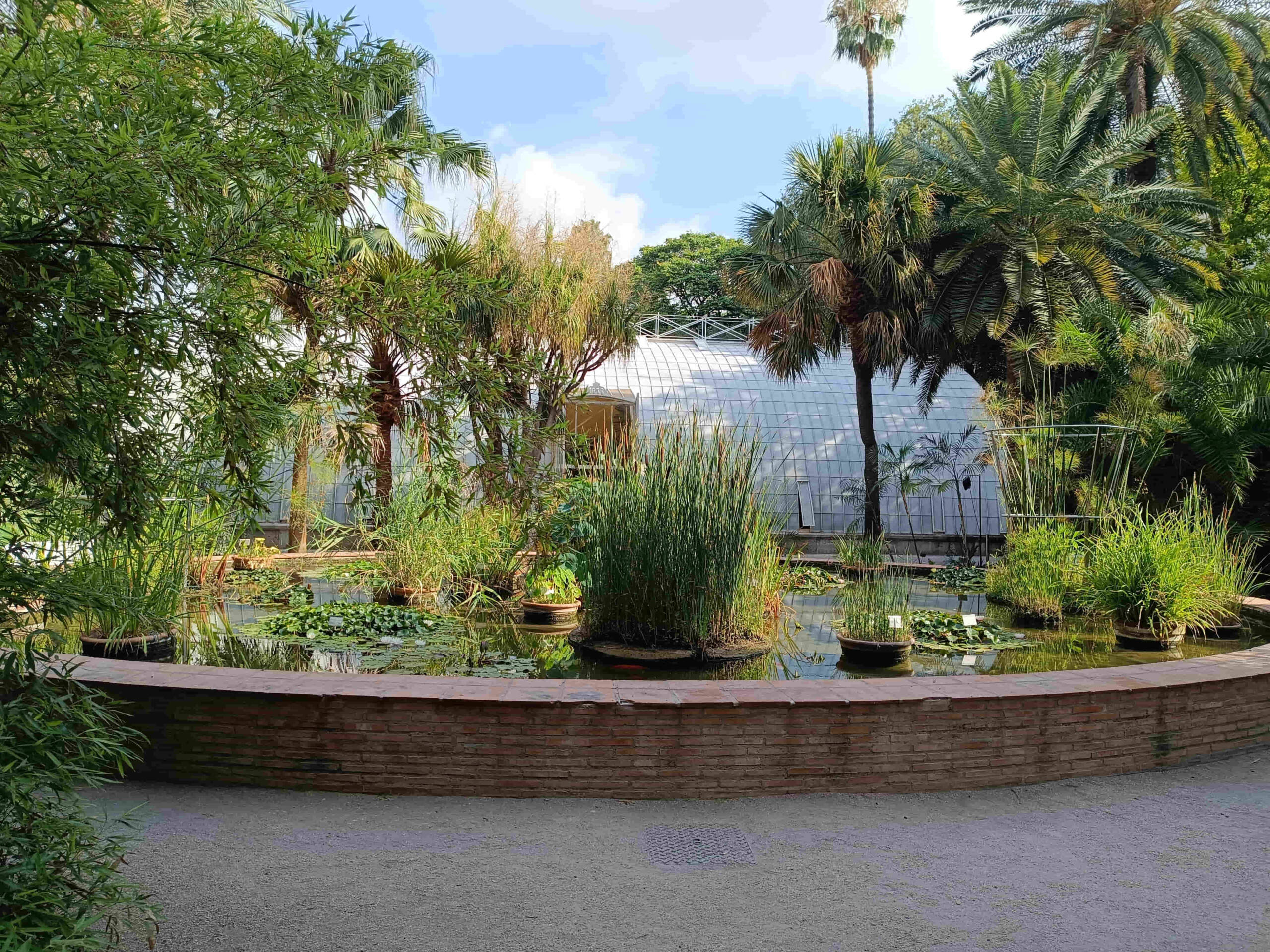 Jardín Botánico de Valencia