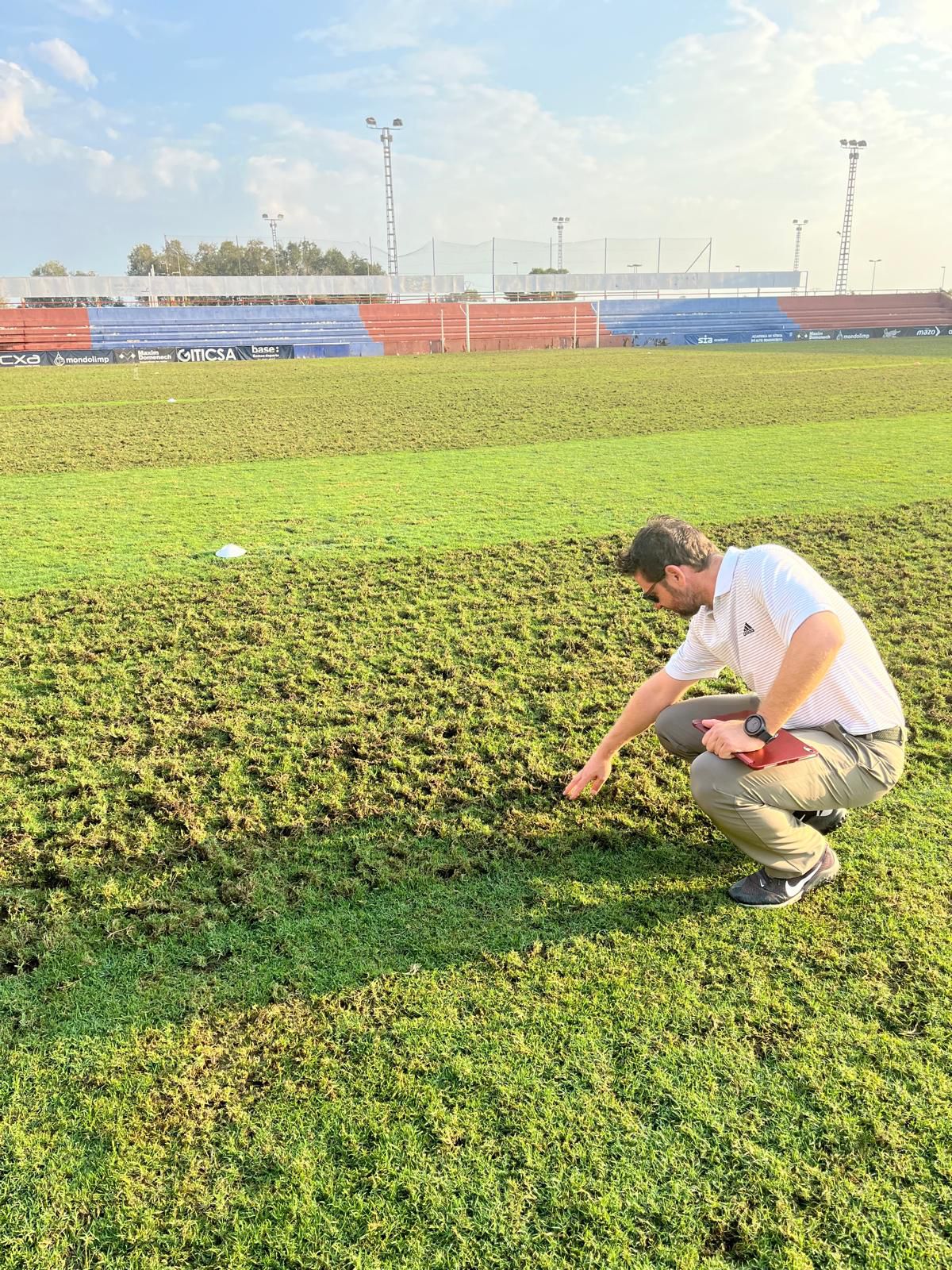 Mantenimiento de césped deportivo