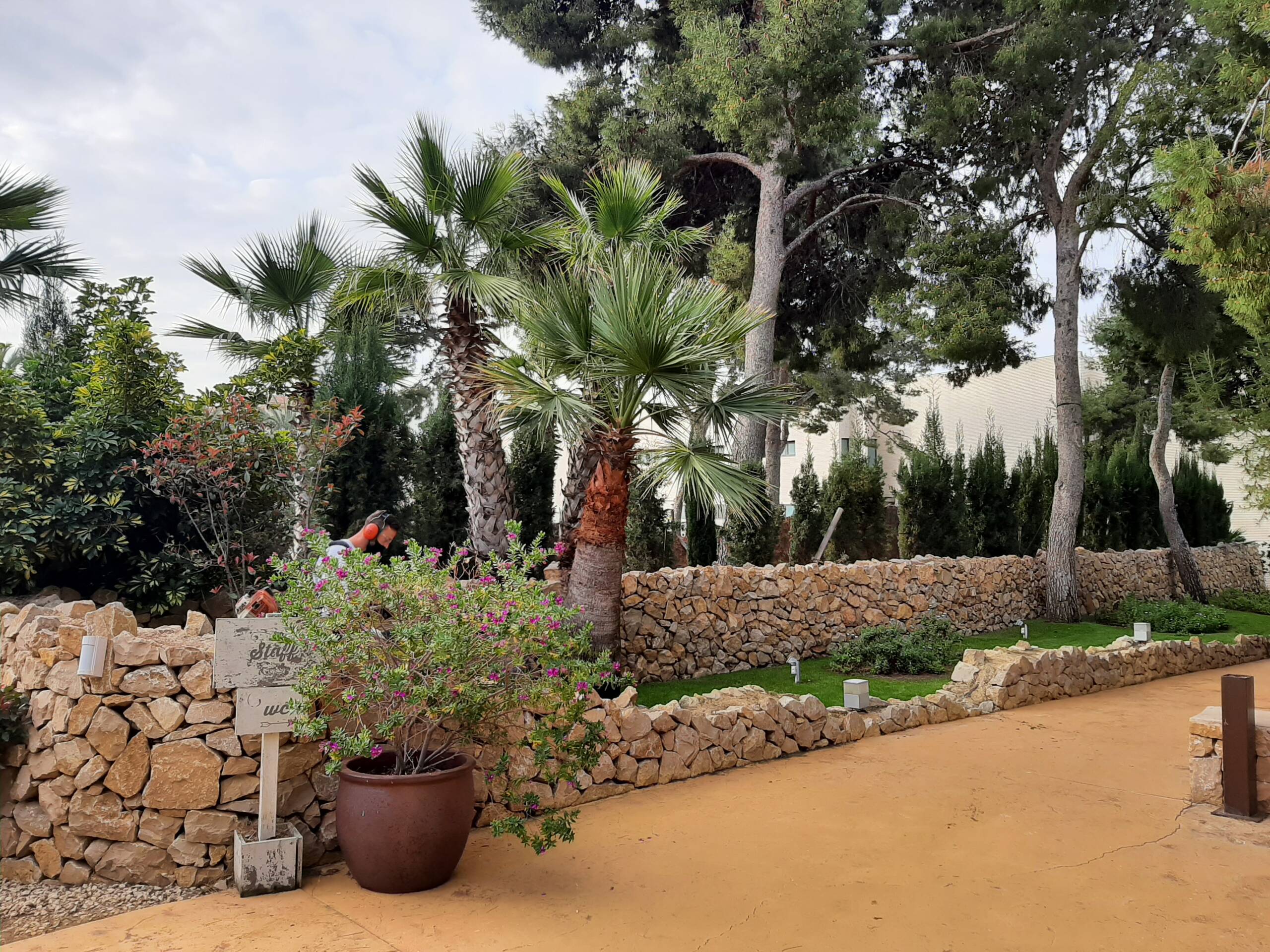 Mantenimiento y conservación de jardinería en centro de eventos