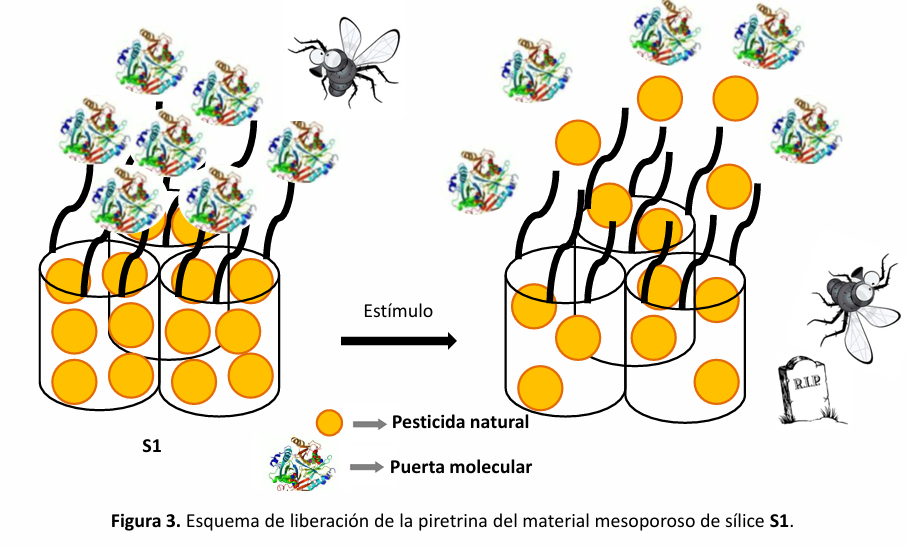 Proyecto ATAECINA