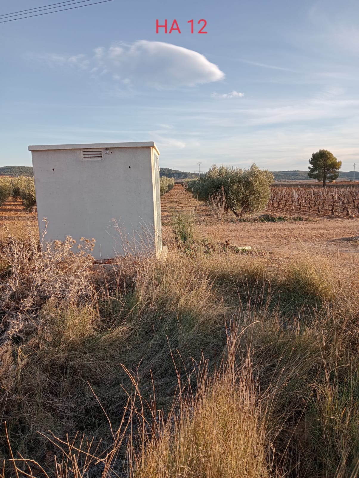Asistencia técnica en Comunidad de Regantes de Campo Arcís