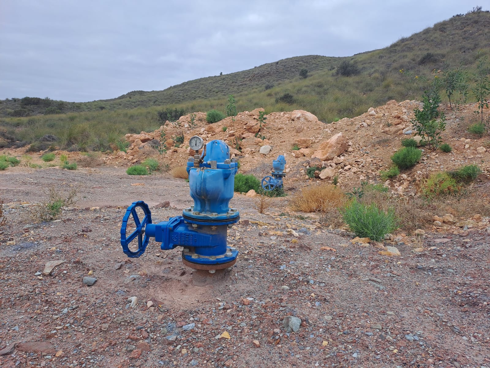 Asistencia técnica de Agua de Amanzora S.A.
